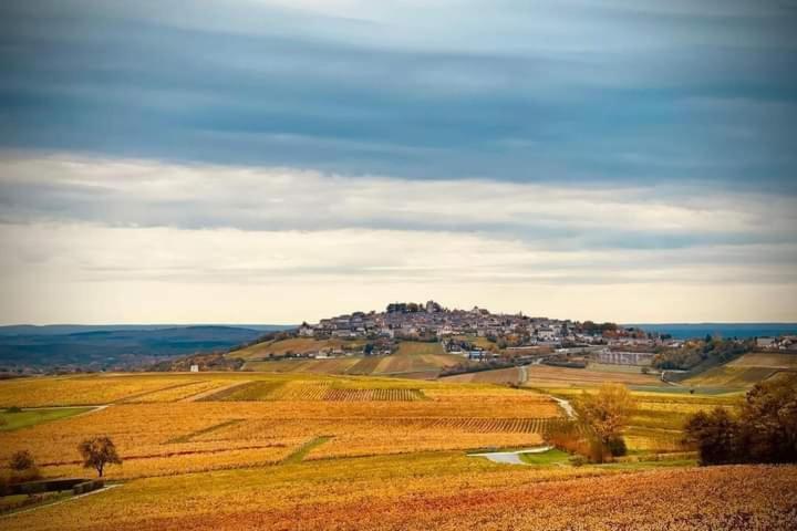 Gite Entre Vignes Et Loire Thauvenay Exterior photo